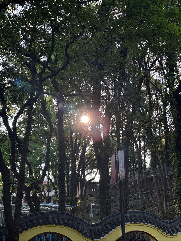 谈恋爱结婚找队友