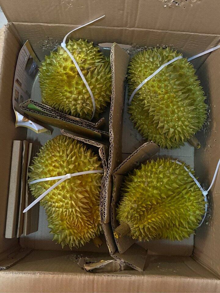 今年的第三箱榴莲