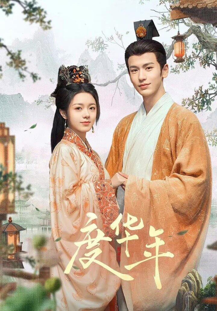 电视剧:度年华/度华年  2024