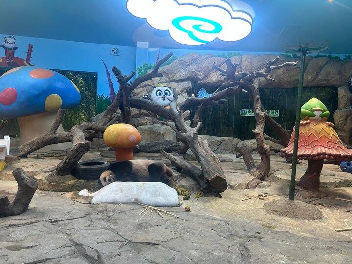 广州长隆野生动物园，脚已废
