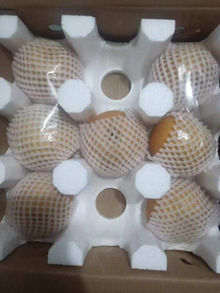 秋月梨
