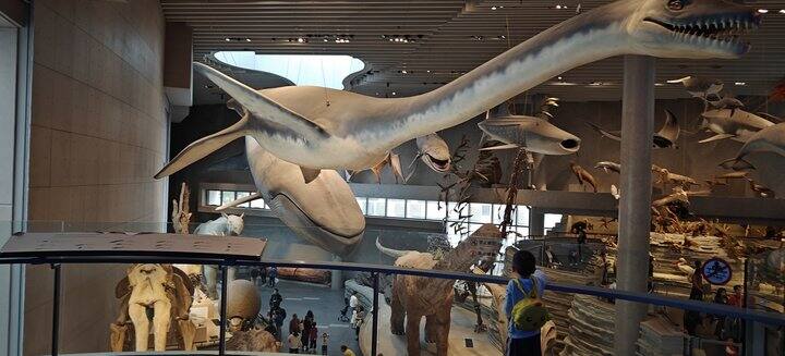 带5岁娃在沪暴走9天