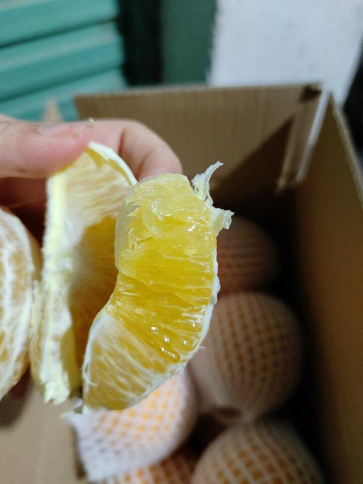 好吃的脐橙