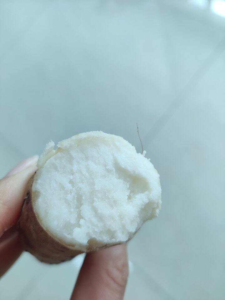 有没有人需要正宗垆土铁棍山药