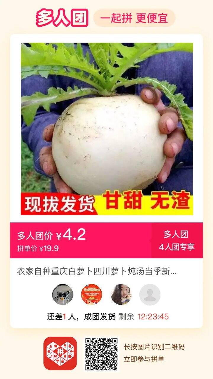 有爱吃萝卜的吗？差一个