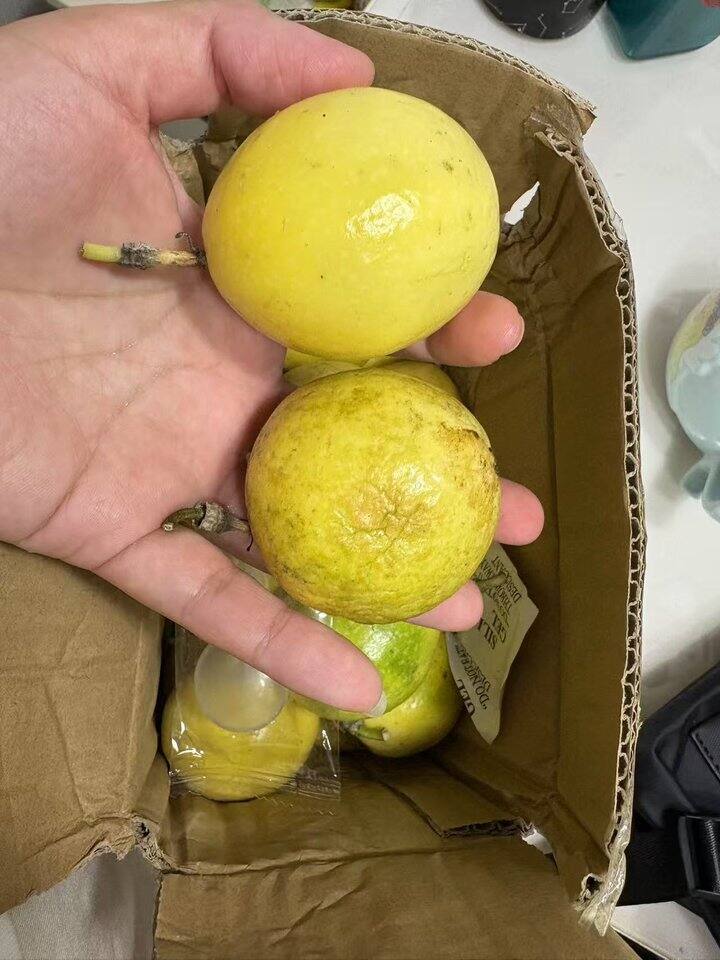 百香果试吃晒单