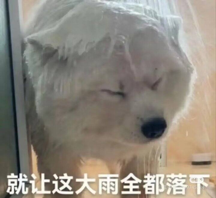 路口好多姐妹都结婚了