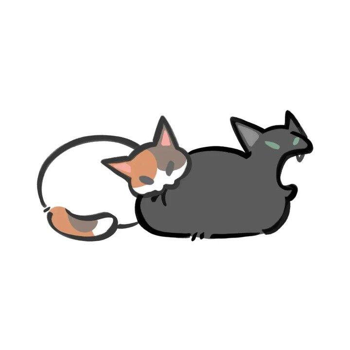 淘宝联盟互拍有吗