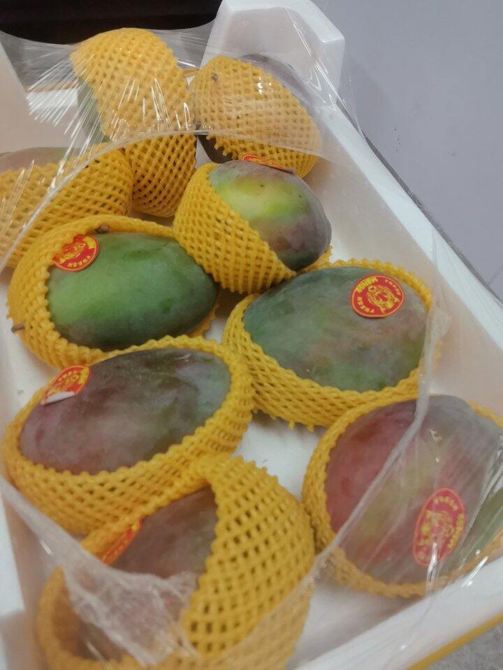 收一个芒果会员