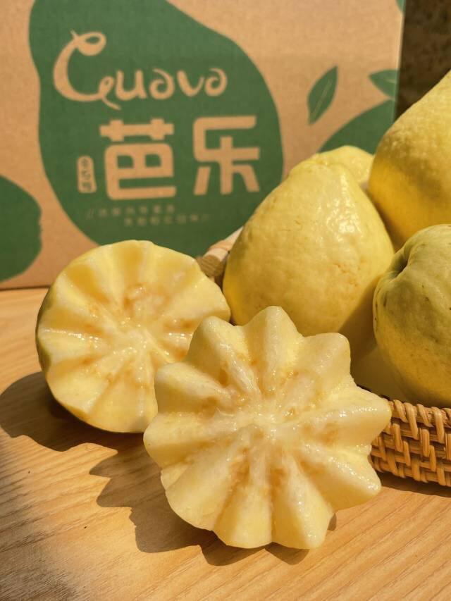 【树上熟奶油芭乐】一款上过央视CCTV的芭乐