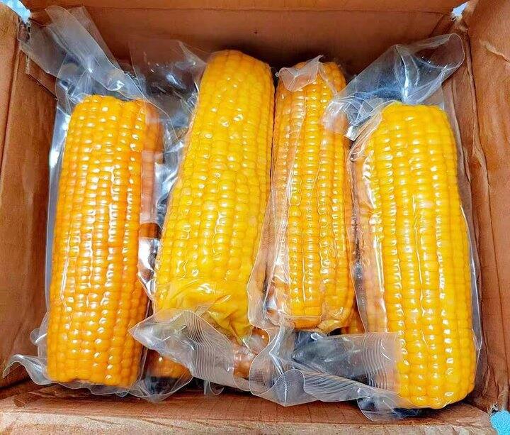玉米棒🌽
