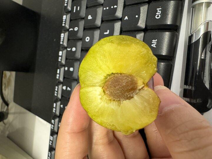 路口的李子好吃