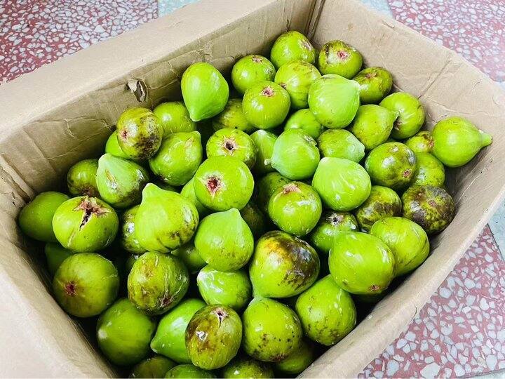 2025年度威海青皮来啦