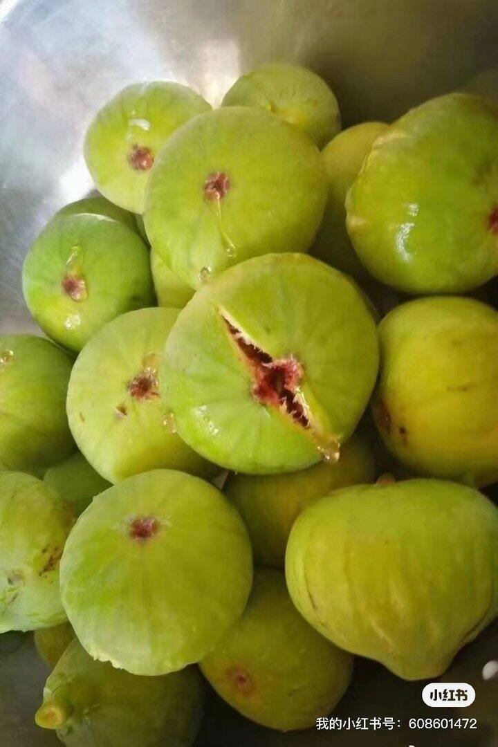 来了来了带着青皮无花果干来了