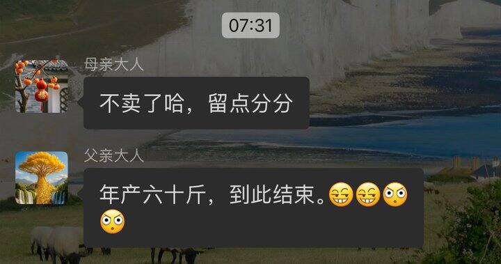 2025无花果干两天结束