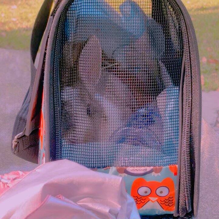 rabbit is very good!