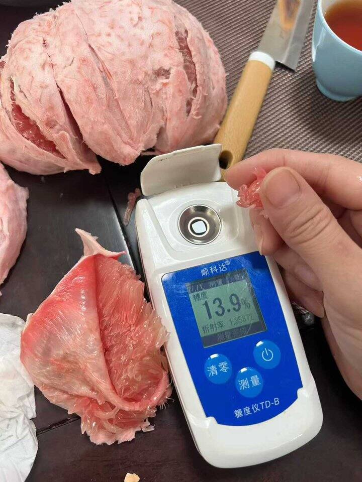 正宗梅州大埔蜜柚