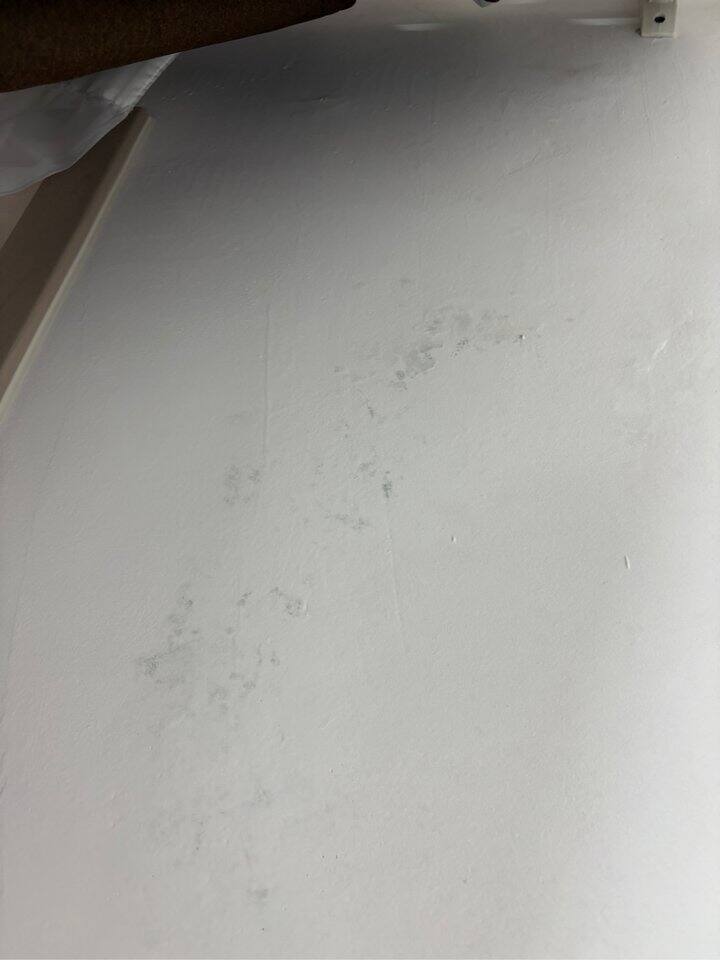 今天的崩溃还是发霉的墙给的