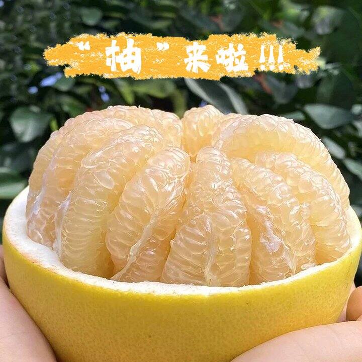 【 3️⃣0️⃣年老树白柚】“乾隆都爱吃的白蜜柚，好吃到爆