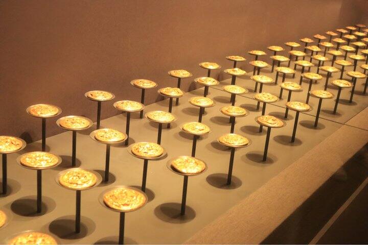 有没有老人家喝的蛋白fen推荐？