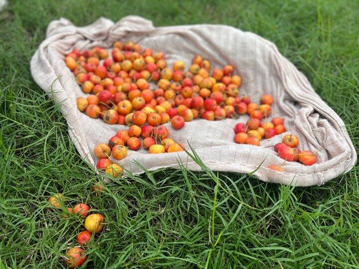 出网易云年卡优酷/芒果会员年卡