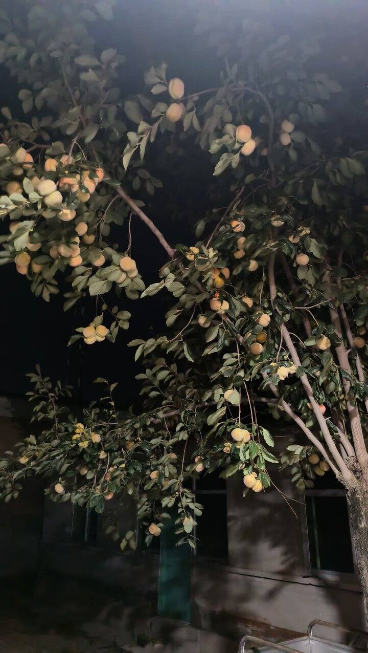 哄着临时工把活干了，求指教！