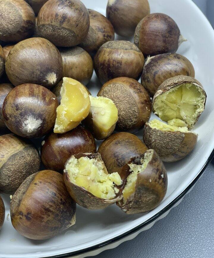 喜欢锥栗大于板栗