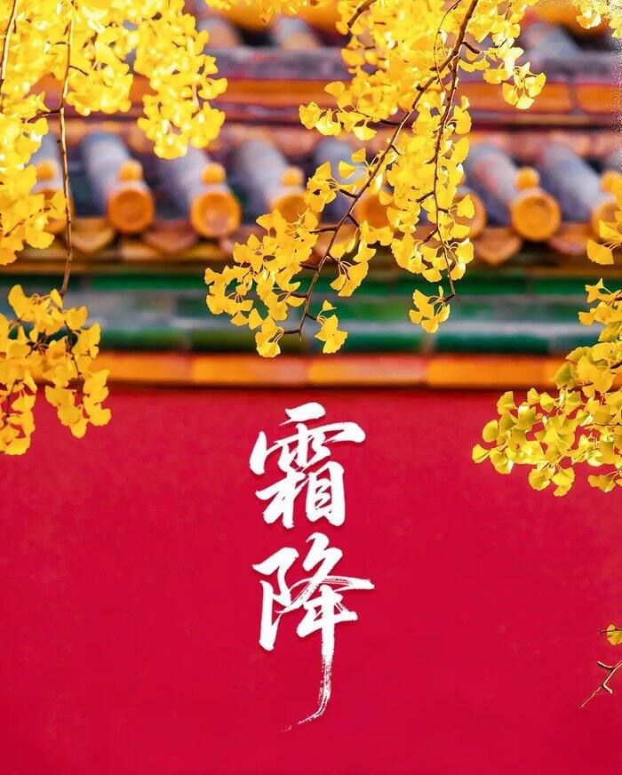 霜降，愿内心无霜