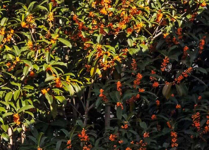 ［随手拍］开心