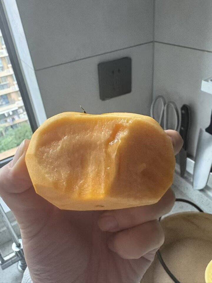 云南保山次郎吉柿