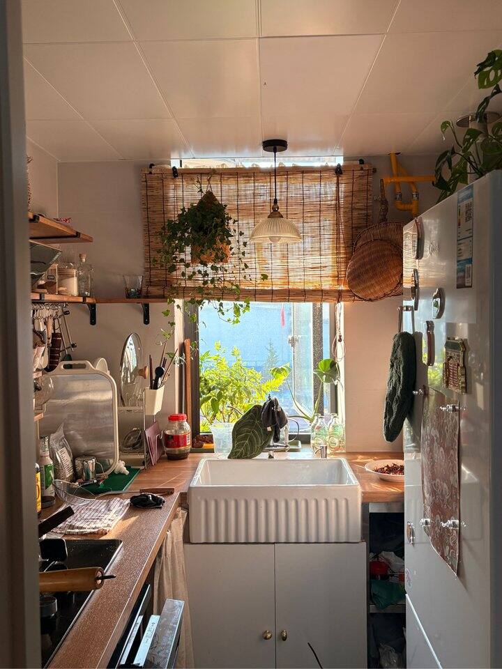 早上被外面学校升旗吵醒