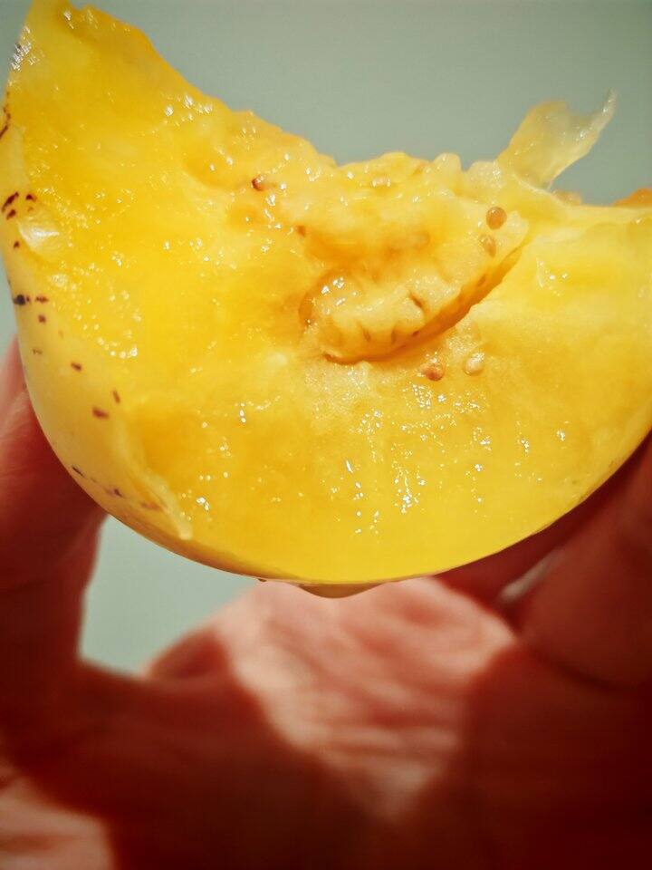 10月底的惊喜是淘宝盲买的人参果给的！新鲜又清甜，吃完能让人变开心