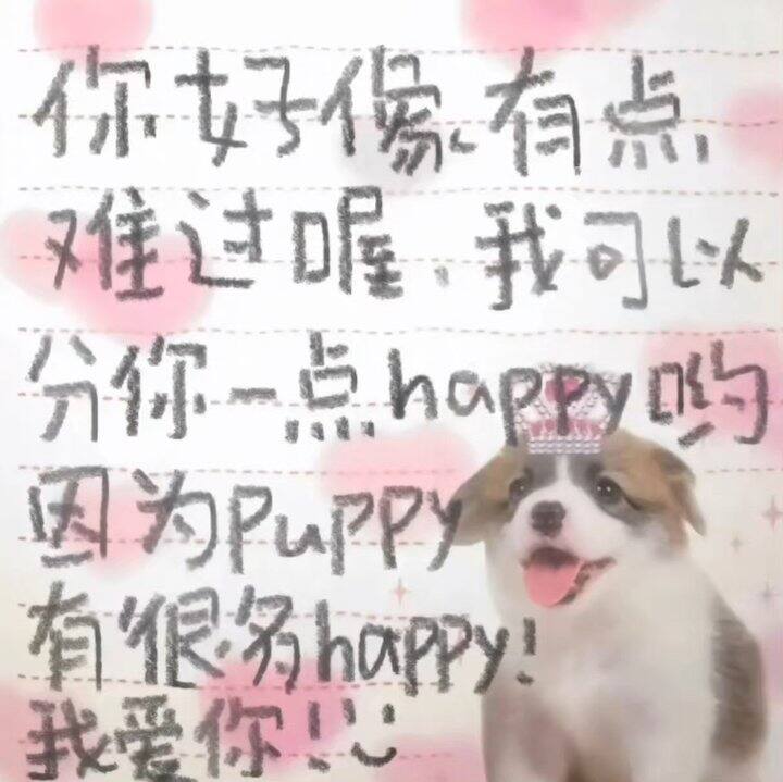 风和日丽学车的一天 我大大的崩溃了