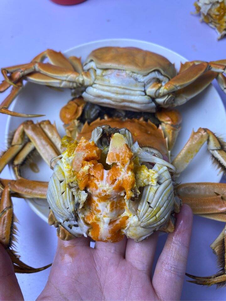 今天吃的绝美3两母蟹