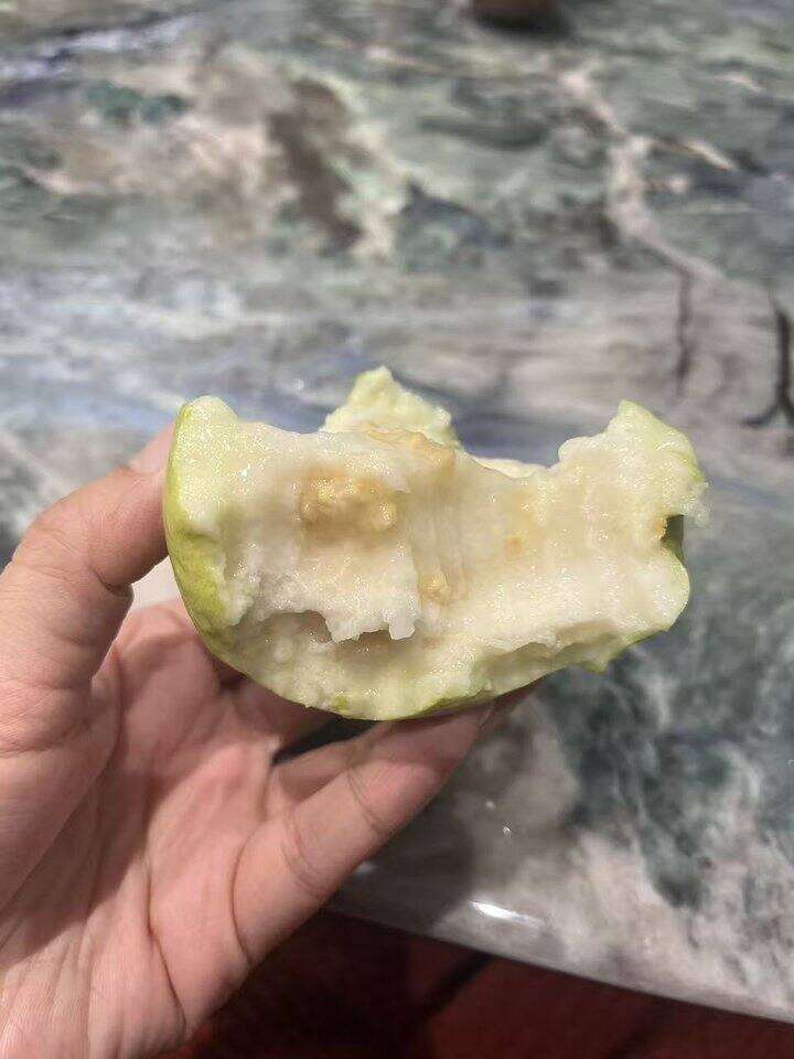 口感奇特的水果