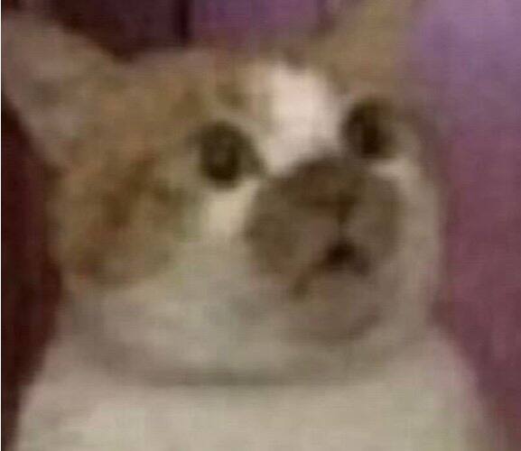 好消息:找到双休的工作了