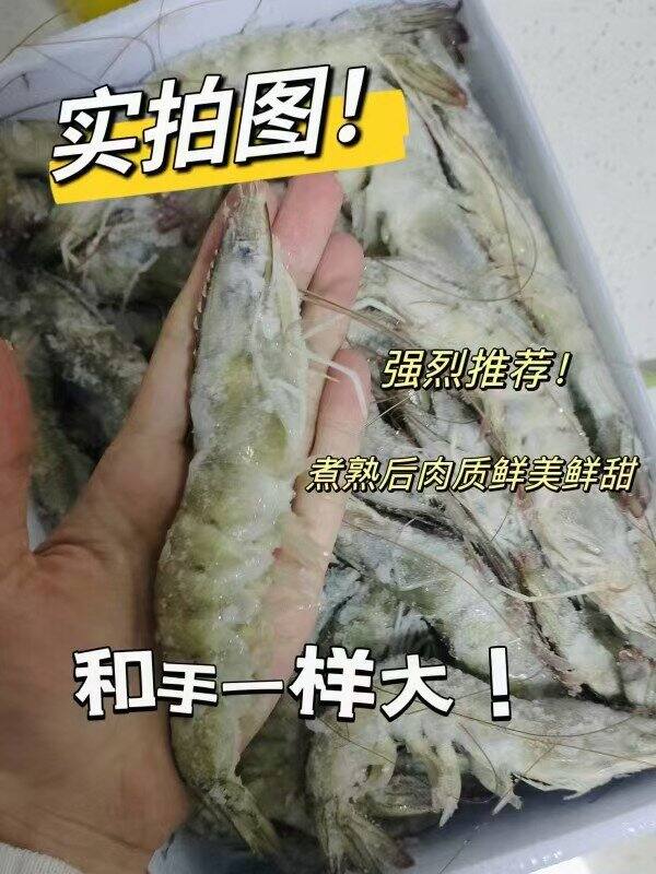 💰21.1/斤🉐鲜京采厄瓜多尔进口白虾