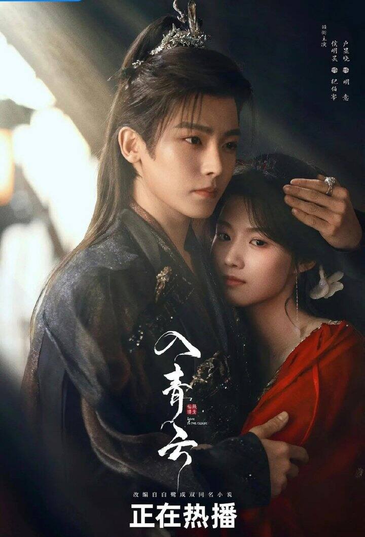 电视剧《入青云》2025  完结