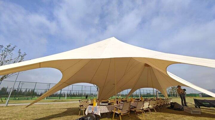 ［随手拍］户外“办公”