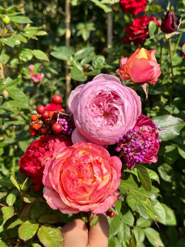 祝大家十一月好运