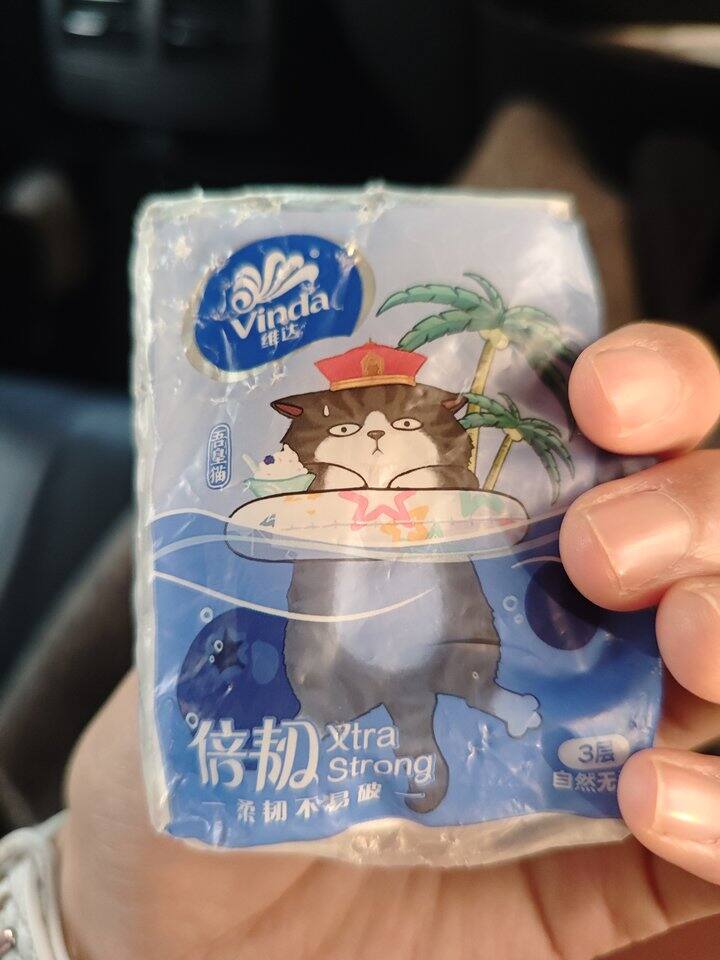 有的小猫咪真是什么都咬啊