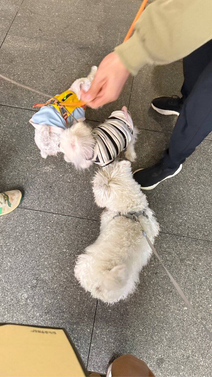 独自休息的一天