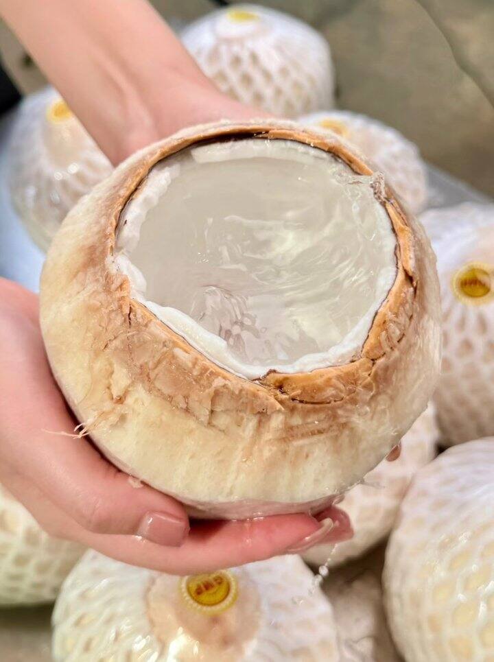 新鲜椰青！💰5+/粒