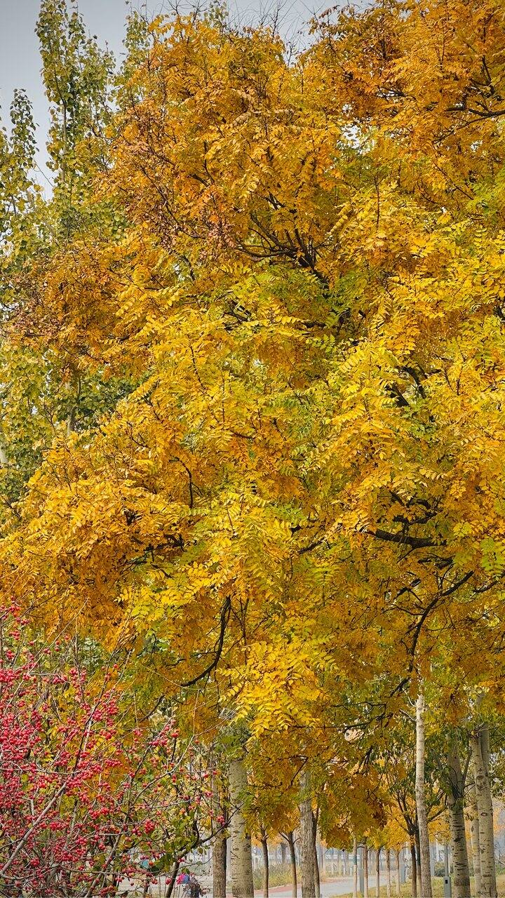 突然发现留在北京的第一个好处