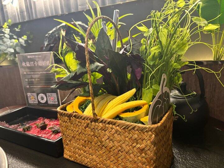 出优酷芒果会员