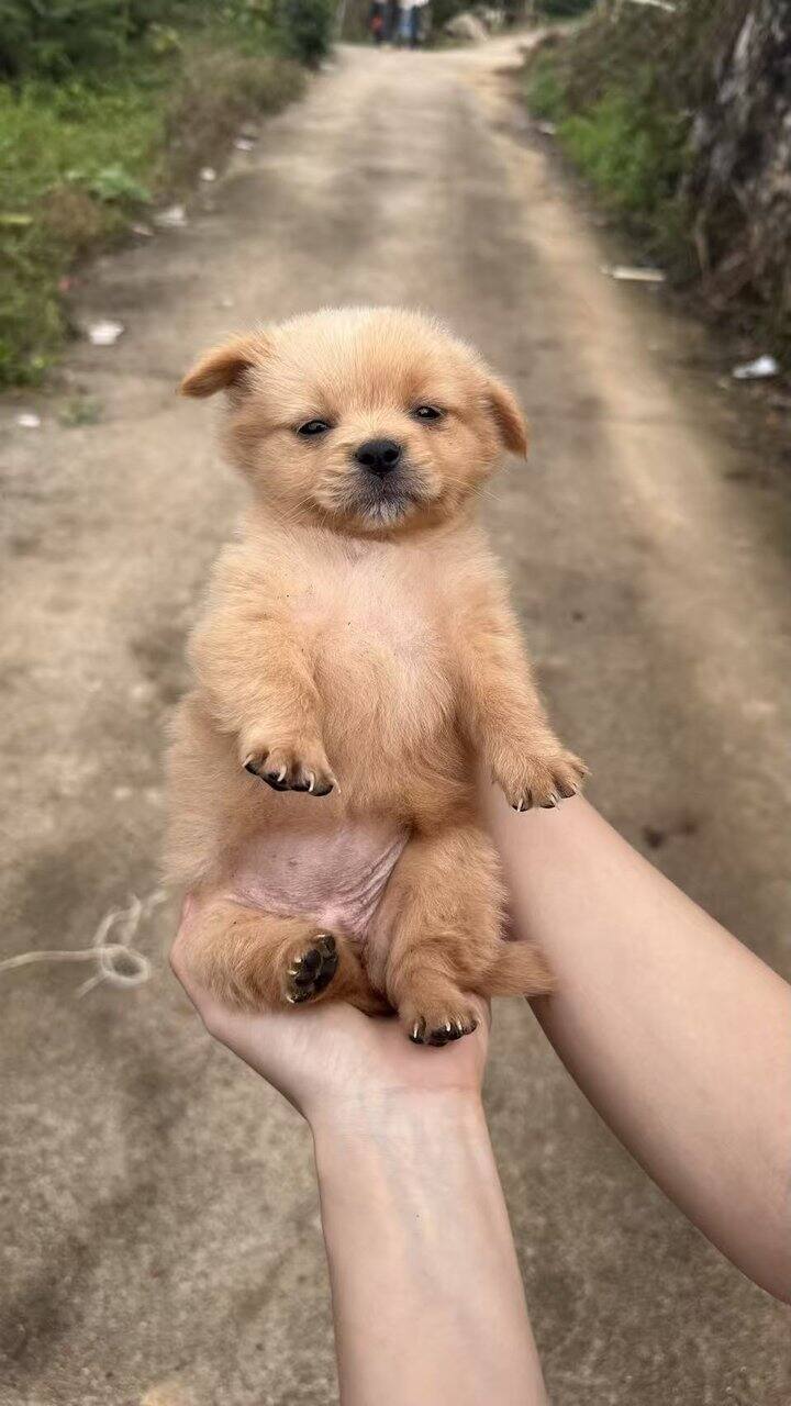 芒市青旅推荐有望