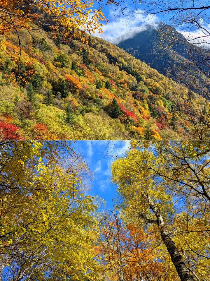 彩林季，在松坪沟