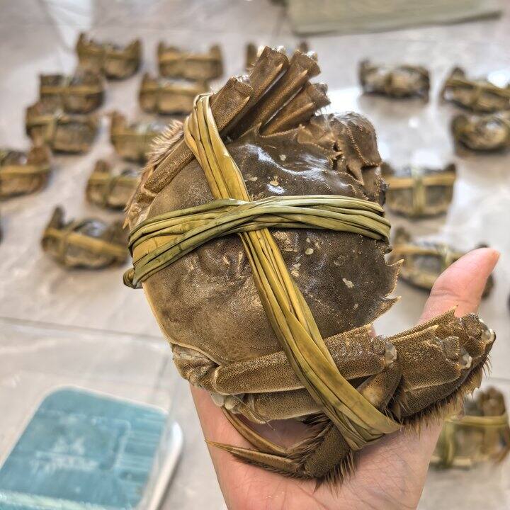 忙着卖蟹，搞的虾全死了