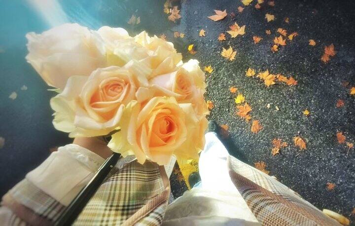 ［随手拍］雨天的迷魂计