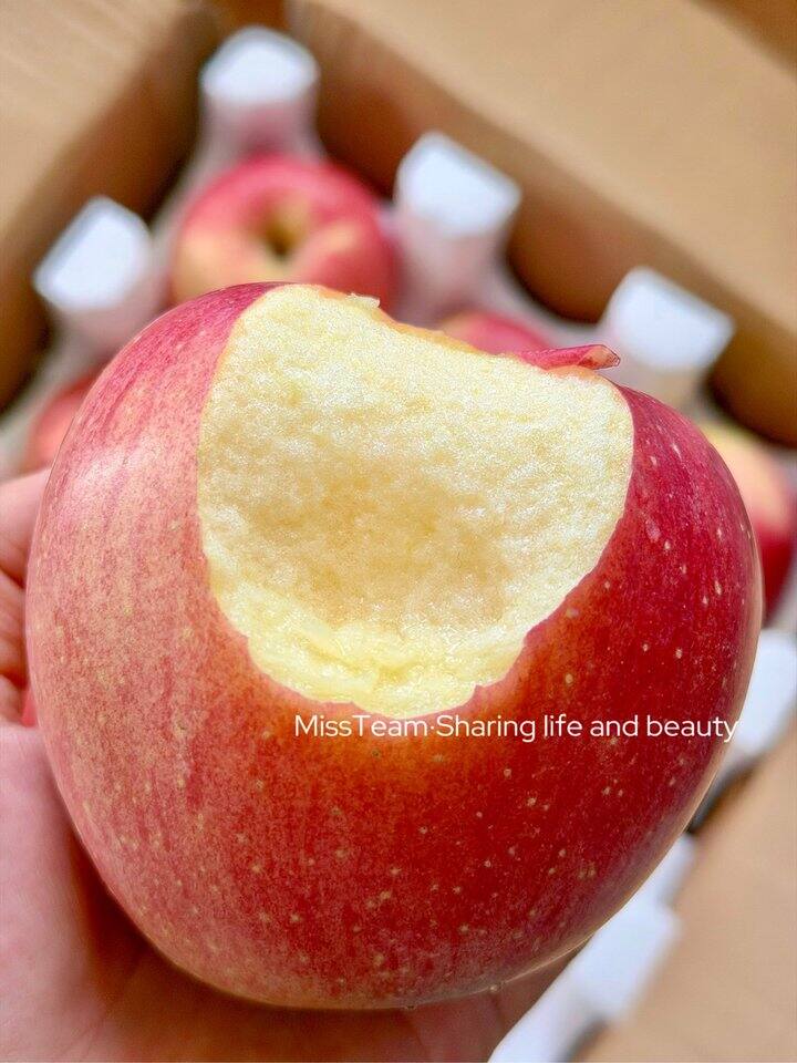 红富士苹果！💰2+/斤